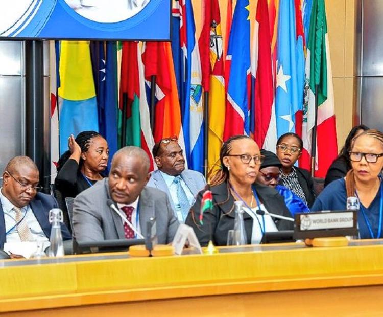 Africa Group 1 Constituency Meeting in Washington, D.C.